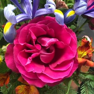 Meet your Posher, Courtney